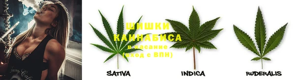 стафф Аркадак