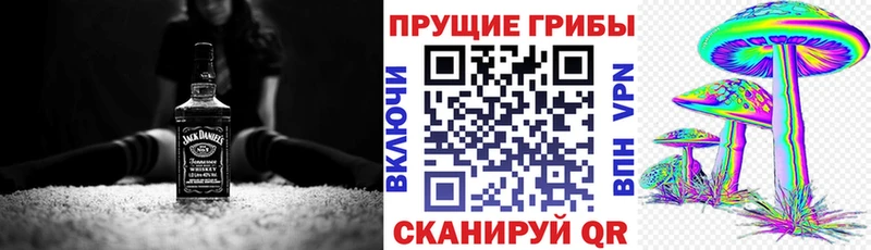 Псилоцибиновые грибы Psilocybine cubensis  Купить закладки  Нерехта 